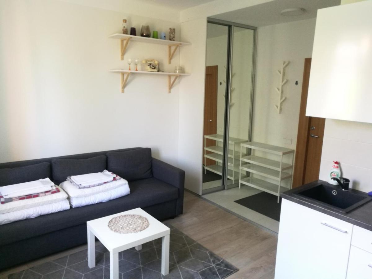 Vilnius Town Apartmen エクステリア 写真
