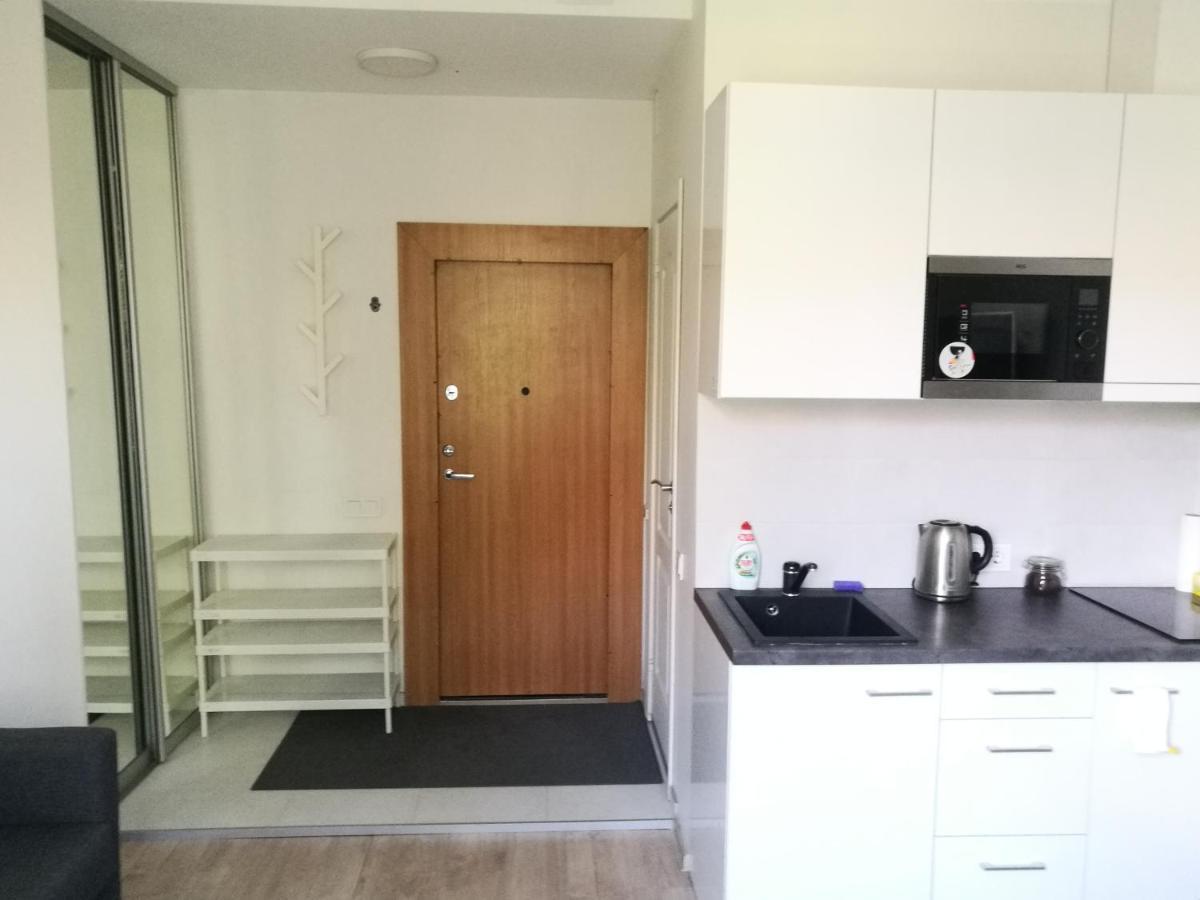 Vilnius Town Apartmen エクステリア 写真