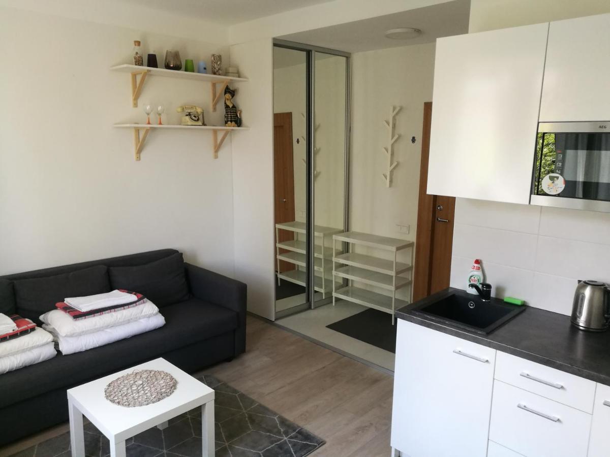 Vilnius Town Apartmen エクステリア 写真